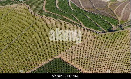 View from above of the wine-growing region El Valle de Maipo in Chile Stock Photo