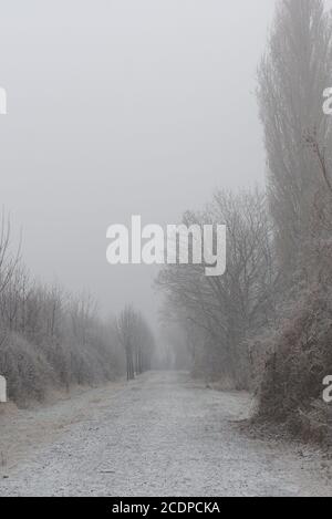 Weg im winterlicher Nebel Stock Photo