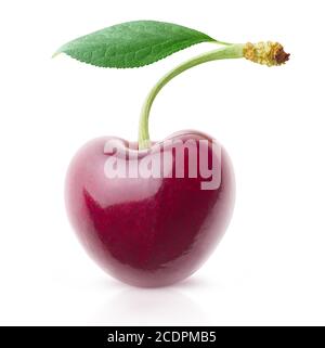 Isolated cherry. One sweet cherry with short stem and leaf isolated on white background Stock Photo