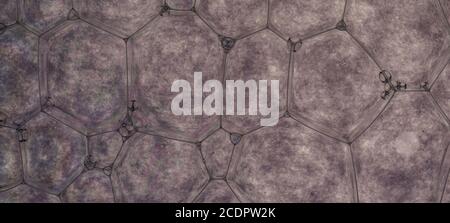 Abstract geometric patterns almost cellural in structure in this macro. Stock Photo