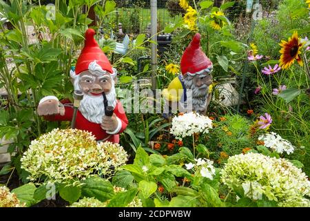 Allotment garden Germany Two garden gnomes, dwarf Garden Gnomes Stock Photo