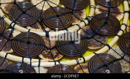 Full frame of woven bamboo Stock Photo