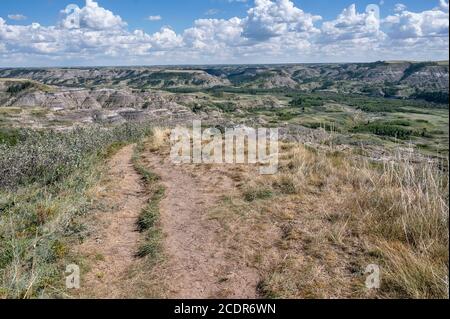 Overview of Dry Island Buffalo Jump Provincial Park in the Red Deer River Valley near the town Trochu, Alberta, Canada Stock Photo