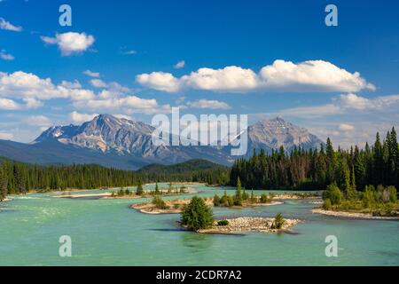 The Athabasca River along the icefields Parkway near Jasper, Alberta, Canada Stock Photo