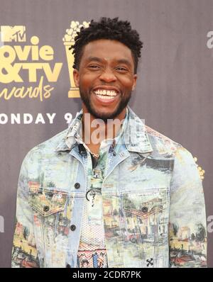 16 June 2018-  Santa Monica, California - Chadwick Boseman. 2018 MTV Movie And TV Awards held at Barker Hangar. (Credit Image: © Faye Sadou/AdMedia via ZUMA Wire) Stock Photo