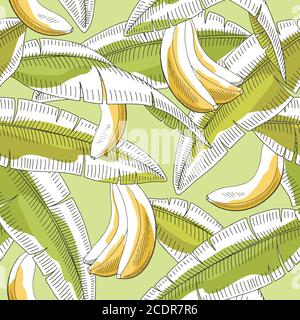 Banana fruit leaf graphic green yellow color seamless pattern sketch illustration vector Stock Vector