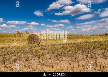 Hay bales under cloudy sky on harvested wheat field. Stock Photo