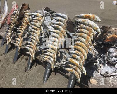 way of cooking fish on the Malaga coast, called espetos Stock Photo