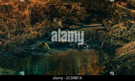 A Slow Flowing Stream With a Water Bottle and Plastic Bag Stuck Floating in the water Stock Photo