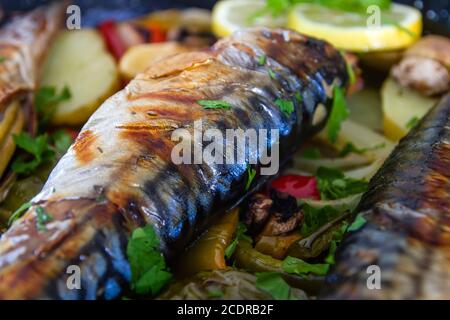 Delicious oven-roasted mackerel dish detail Stock Photo