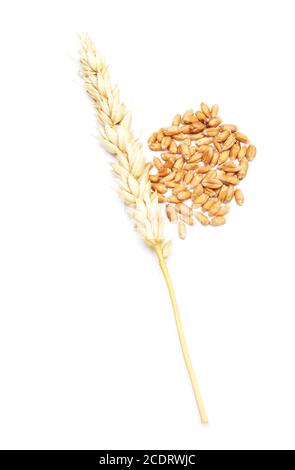 wheat on white Stock Photo