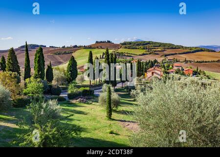 Tuscany countryside landscape with cypress trees, farms and green fields, Italy. Stock Photo