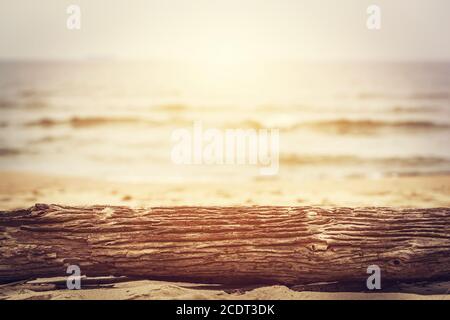 Tree trunk lying on the beach. Ocean background, sun shining. Stock Photo