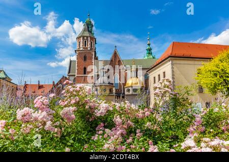 Wawel Cathedral, Cracow, Poland. View from courtyard with flowers. Stock Photo