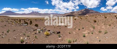 The Carcote salt flat in the Chilenean Andes is close to the border to Bolivia Stock Photo