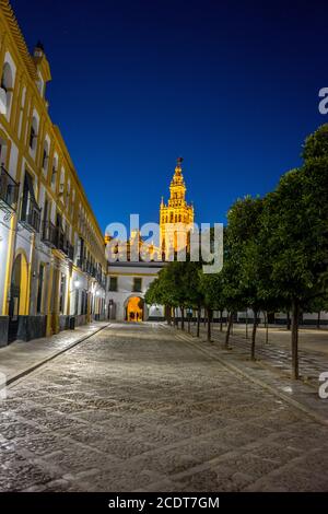 The Giralda bell tower lit up at night in Seville, Spain, Europe Stock Photo