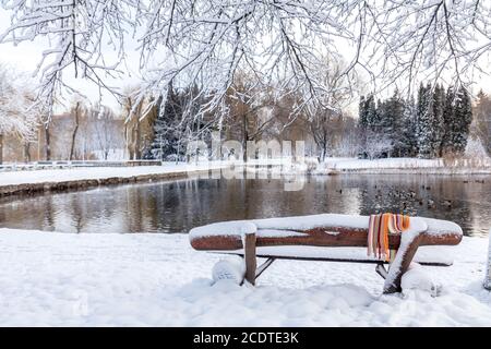 First snow in the city park with ducks on an icy pond and a bench covered with snow Stock Photo