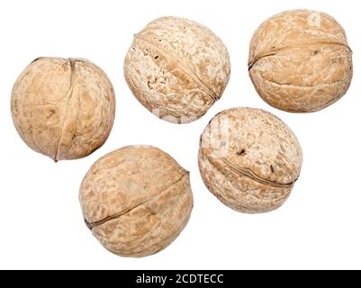 Walnuts on white Stock Photo