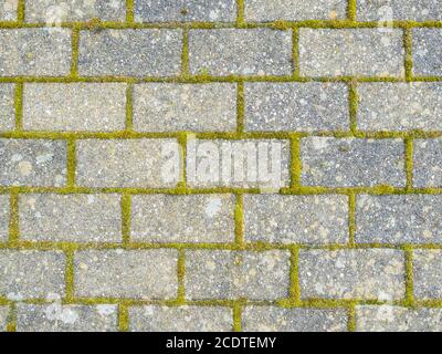 Stone Brick Pavement with Green Moss Stock Photo