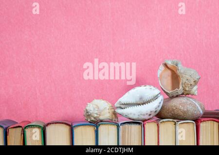 Sea shells on multicolored books at pink background. Education concept. Copy space Stock Photo