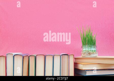 Fresh green wheat sprouts in glass jar on books at pink background. Agriculture education concept. Copy space Stock Photo