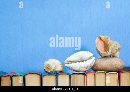 Sea shells and stones on multicolored books at light blue background. Education concept. Copy space Stock Photo