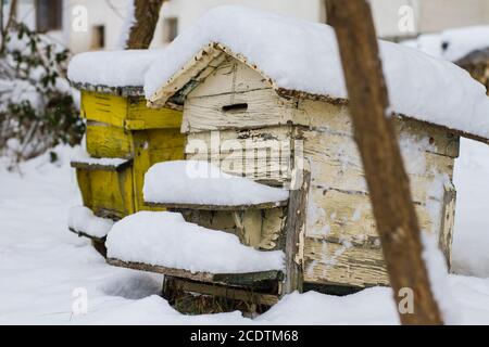 A pair of snow covered bee hives. Apiary in wintertime. Beehives covered with snow in wintertime. Beekeeping Stock Photo