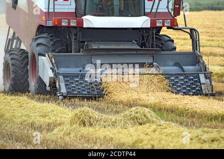 Collection sloping rice threshing. Agricultural machinery harvest on the field. Stock Photo