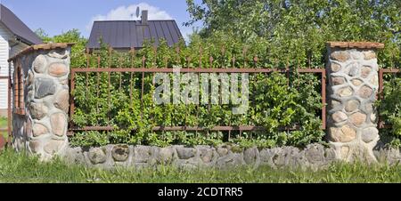 Fragment of the village fence. Made of whole granite stones and steel grating. Stock Photo