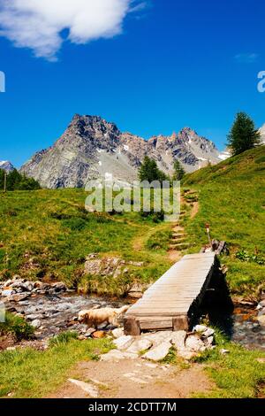 Italy Piedmont Alpe Devero Natural Park Pizzo Stange on the Piana di ...
