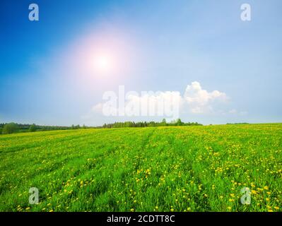 Green field under the cloudy sky Stock Photo - Alamy