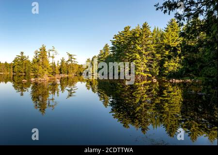 Tree reflections on calm lake waters Stock Photo