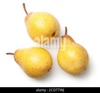 Pears Isolated on White Background Stock Photo