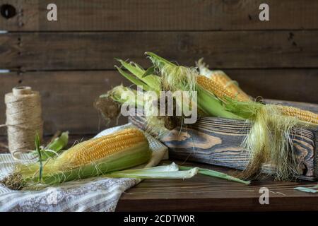 Fresh sweet corn on cobs on rustic wooden table Stock Photo