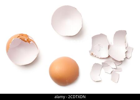 Egg Shell Isolated on White Background Stock Photo