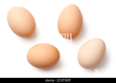 Eggs Isolated on White Background Stock Photo