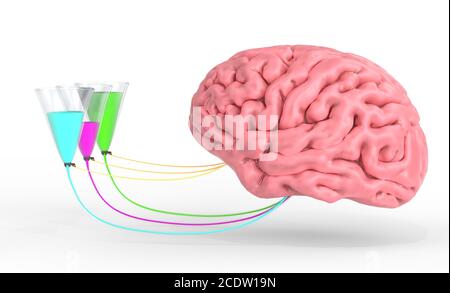 Brain control of human hormones and emotions. 3d illustration Stock Photo