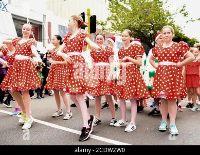 Wellington, New Zealand. 24th Nov, 2018. Girls in costumes participate in the annual Very Welly Christmas Parade held at Lambton Quay in Wellington, New Zealand, on Nov. 24, 2018. Wellington has been named New Zealand's best destination in the Lonely Planet guidebook, with the city branded 'one of the coolest little capitals in the world'. Credit: Guo Lei/Xinhua/Alamy Live News Stock Photo