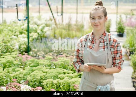 Young confident female worker of hothouse in apron using digital tablet Stock Photo