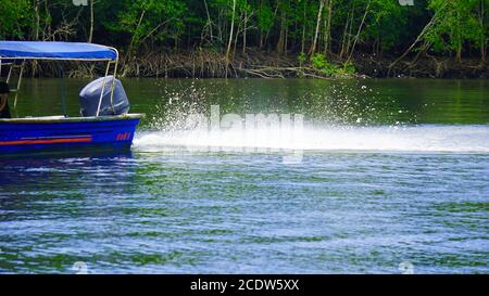 A blue motor boat drizzling water through a lake surrounded with mangrove forest in Langkawi, Malaysia for eagle feeding as a part of mangrove tour. Stock Photo