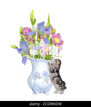 Little Kitten stands near antique porcelain jug with bouquet of flowers Stock Photo