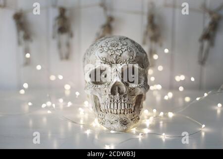 Scary skull with lights in background Stock Photo