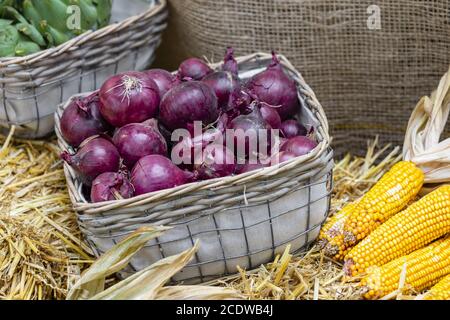 Market stall with red onions in the basket and with corncobs on straw Stock Photo