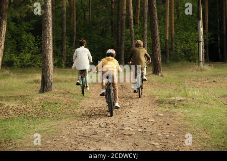 Rear view of active family of young parents and son cycling along forest path Stock Photo