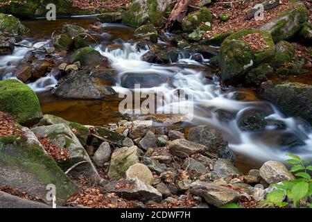 The river Ilse at Ilsenburg in the Harz National Park in Germany Stock Photo