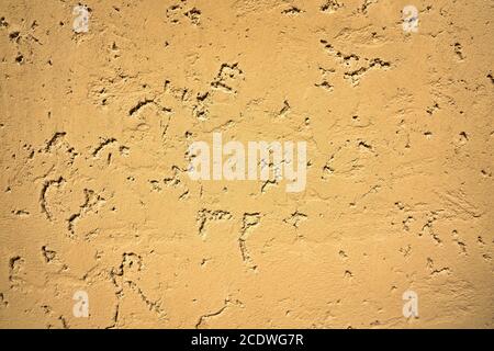 Plaster structure on a wall surface Stock Photo