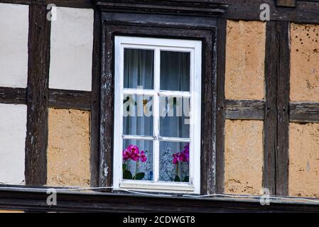 Window with orchids on the window Stock Photo