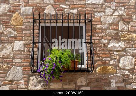 Typical Italian Window With Closed Wooden Shutters, Decorated With Fresh Flowers Stock Photo