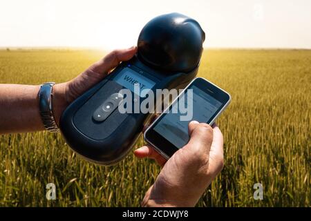 Mobile device for measuring the parameters of grain in the harvest. Smart farming and precision agriculture Stock Photo