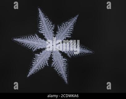 Snowflake on black background. This illustration based on macro photo of real snow crystal, 3d illustration Stock Photo